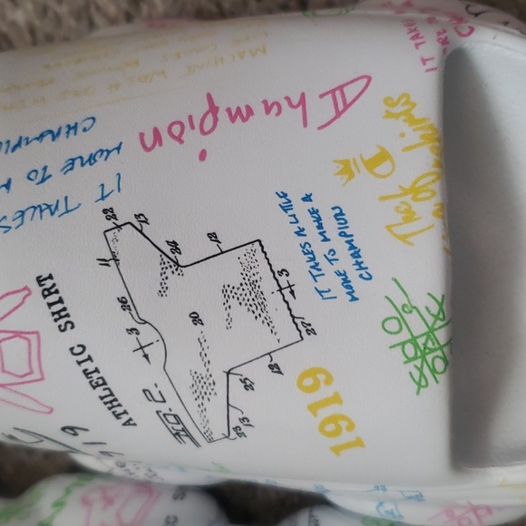 Champion slides - Picture 3 of 12